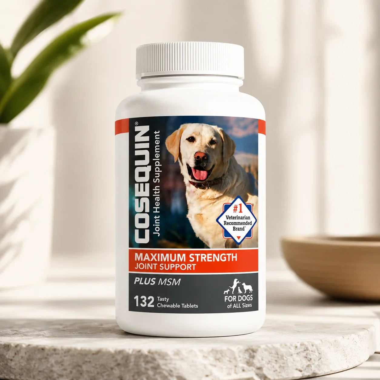 A bottle of Cosequin Plus MSM Joint Health Supplement for dogs, featuring a white bottle with a label showing a yellow Labrador and product details, set on a stone surface with a blurred background.