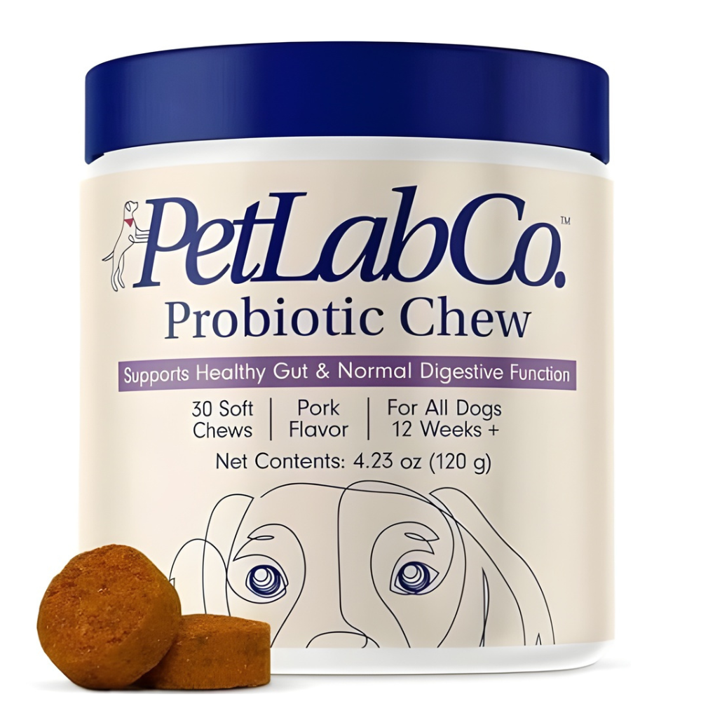 A white plastic jar of PetLabCo Probiotic Chew dog treats with a dark blue lid, shown on a white background with two brown chew pieces in front. The label reads 'PetLabCo Probiotic Chew' and includes product details and a dog face illustration.